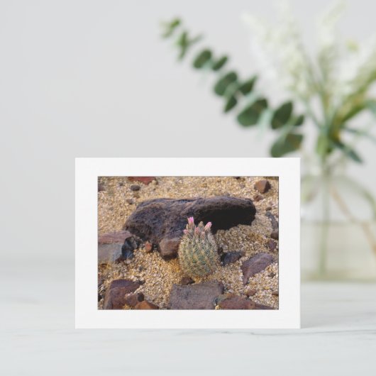 "Itty Samengeflanst Vat Catus " Briefkaart (Staand voorkant)