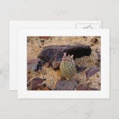 "Itty Samengeflanst Vat Catus " Briefkaart (Voorkant / Achterkant)