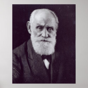 Ivan Petrovich Pavlov Poster