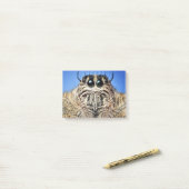 I've got my eyes on you! post-it® notes (Op bureau)