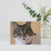 Ivey Briefkaart (Staand voorkant)