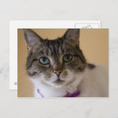 Ivey Briefkaart (Voorkant / Achterkant)