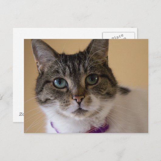 Ivey Briefkaart (Voorkant / Achterkant)