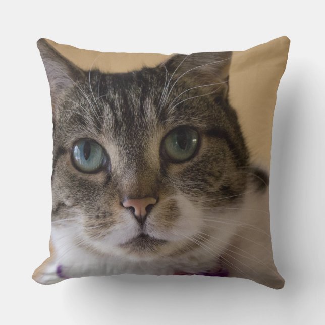 Ivey Kussen (Voorkant)