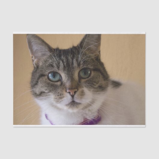 Ivey Tissuepapier (Voorkant)