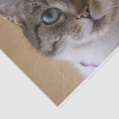 Ivey Tissuepapier (Detail)