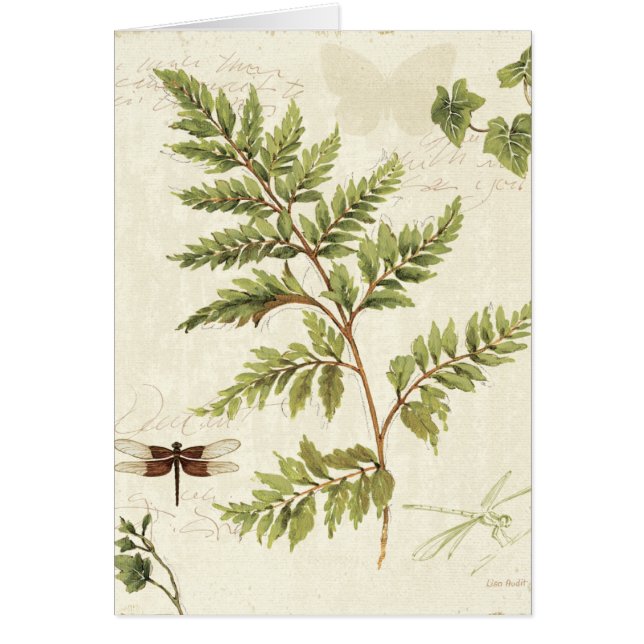 Ivies en Ferns (Voorkant)