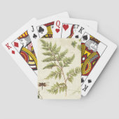 Ivies en Ferns Speelkaarten (Achterkant)