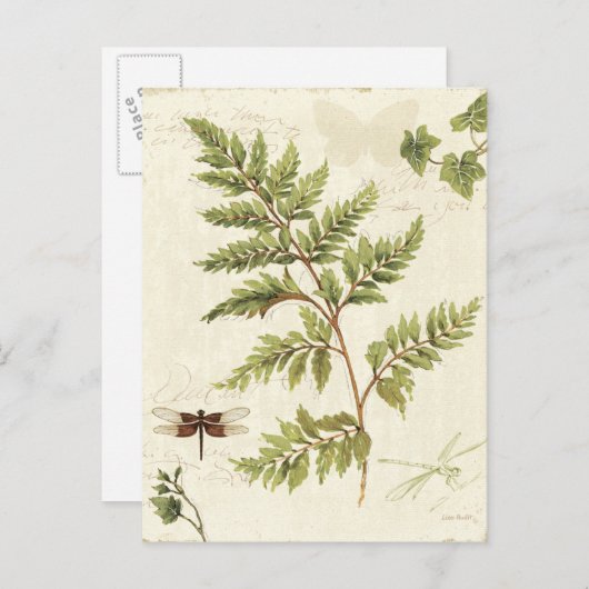 Ivies & Ferns Briefkaart (Voorkant / Achterkant)