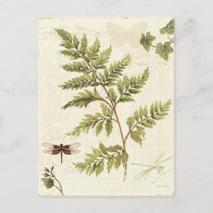 Ivies & Ferns Briefkaart