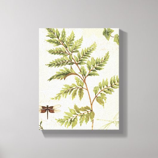 Ivies & Ferns Canvas Afdruk (Voorkant)