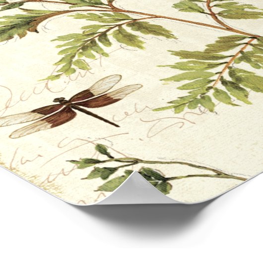 Ivies & Ferns Poster (Hoek)