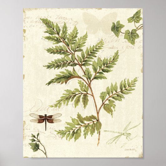 Ivies & Ferns Poster (Voorkant)