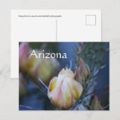 Ivoor cactus bloem, Arizona Briefkaart (Voorkant / Achterkant)