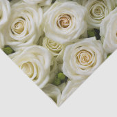 Ivoor Rozen tissuepapier (Detail)