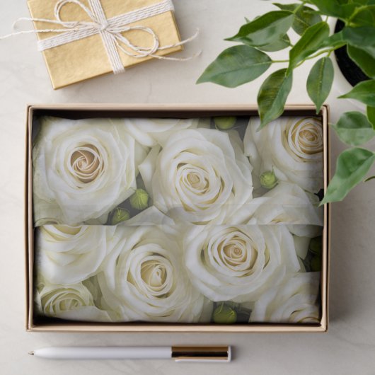 Ivoor Rozen tissuepapier (Geschenk)
