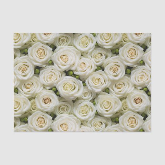 Ivoor Rozen tissuepapier (Voorkant)