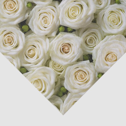 Ivoor Rozen tissuepapier (Detail)