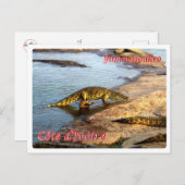 Ivoorkust - Yamoussoukro - Briefkaart (Voorkant / Achterkant)