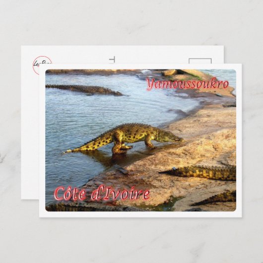 Ivoorkust - Yamoussoukro - Briefkaart (Voorkant / Achterkant)