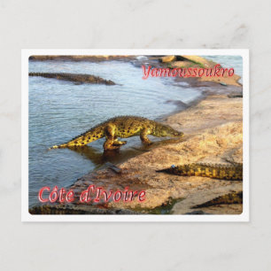 Ivoorkust - Yamoussoukro - Briefkaart