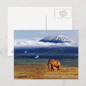 Ivoorsneeuw en zilverreigers briefkaart (Voorkant / Achterkant)