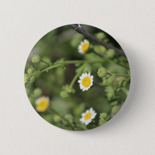 Ivoorwoestijn Rots Madeliefje Wilde Bloemen Coache Ronde Button 5,7 Cm