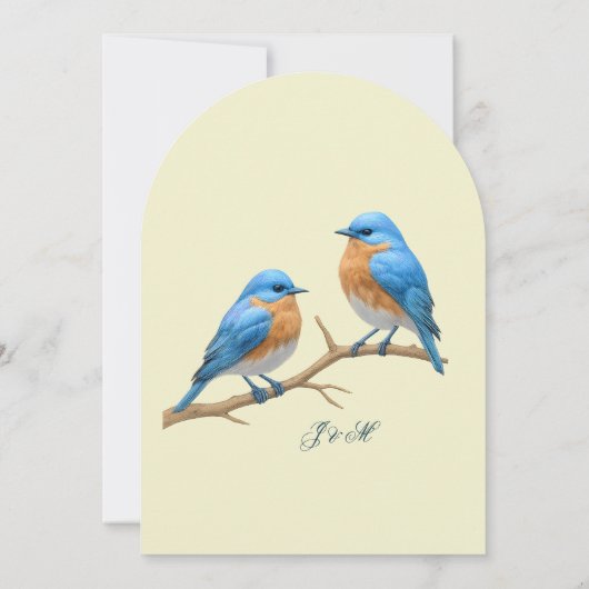 Ivoren pastel houdt van vogels Romantische Bluebir Kaart (Achterkant)
