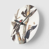 Ivory-billed Woodpecker, 1829, (print) Ronde Klok (Hoek)