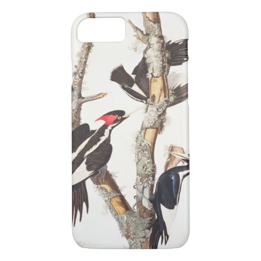 Ivory-billing Woodpecker, 1829, () Case-Mate iPhone Case (Achterkant)