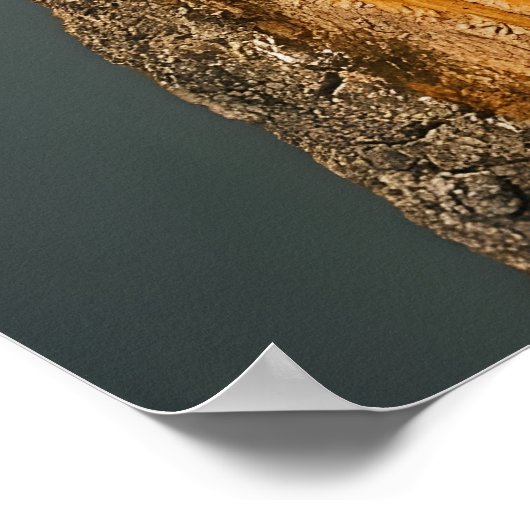 Ivory-billing Woodpecker Poster (Hoek)