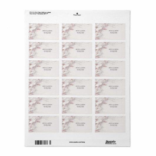 Ivory Blush Pink Floral Adres Label (Full Sheet)