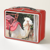 Ivory camel (Voorkant)