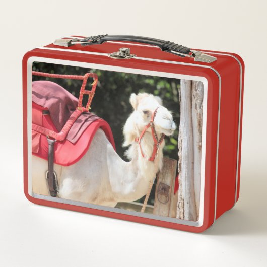 Ivory camel (Voorkant)