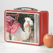 Ivory camel (In situ)