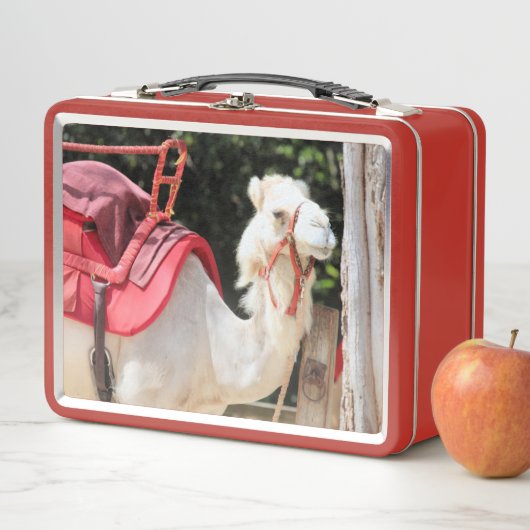 Ivory camel (In situ)