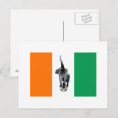 Ivory Coast Cote D'Ivore Soccer Flag Briefkaart (Voorkant / Achterkant)