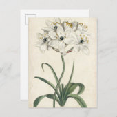 Ivory Garden Briefkaart (Voorkant / Achterkant)