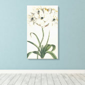 Ivory Garden Canvas Afdruk (Insitu (Houten vloer))