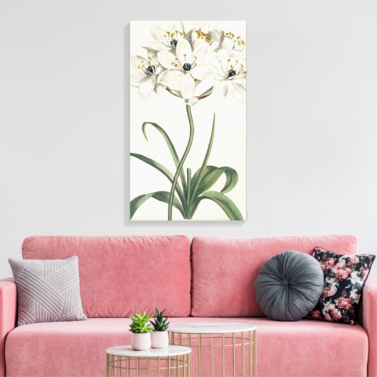 Ivory Garden Canvas Afdruk (Insitu (Woonkamer))