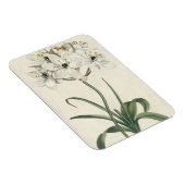 Ivory Garden Magneet (Rechterzijde)