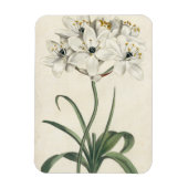 Ivory Garden Magneet (Verticaal)