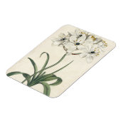 Ivory Garden Magneet (Linkerzijde)