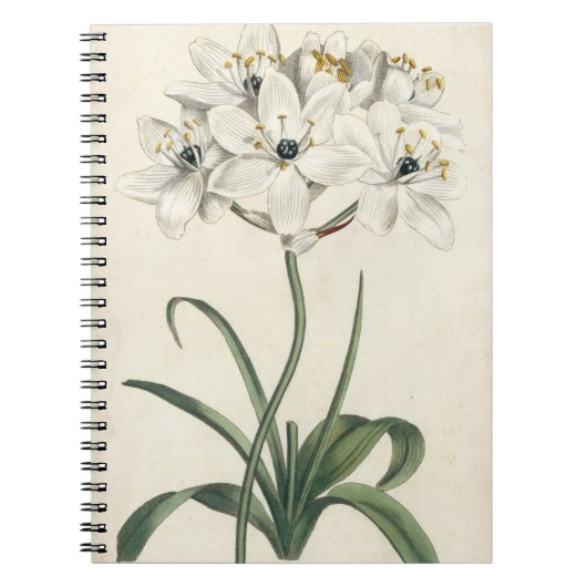 Ivory Garden Notitieboek (Voorkant)