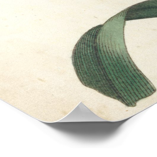 Ivory Garden Poster (Hoek)