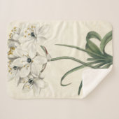 Ivory Garden Sherpa Deken (Voorkant (horizontaal))