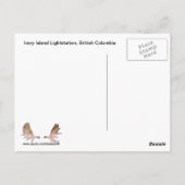 Ivory Island Lightstation Briefkaart (Achterkant)