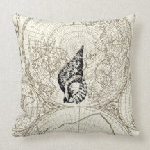 Ivory Map en SeaShell Illustration Sealife