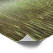 Ivory Mist Poster (Hoek)