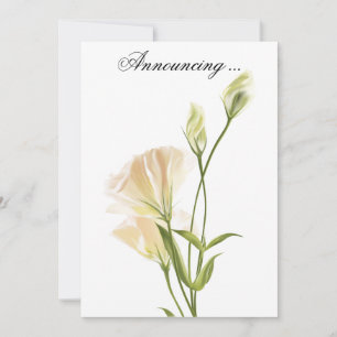 Ivory MoonFlower Wedding Nocement Kaart